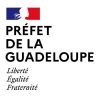 28-04-2020-Prefet-Guadeloupe